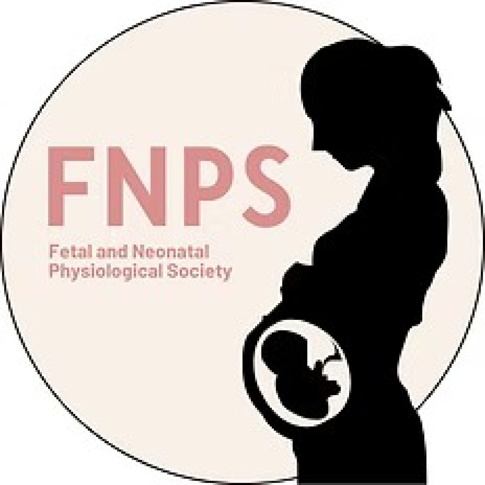 FNPS - Official Hotel Service